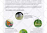 design instruction manual, training manual, booklet, workbook and guide PDF