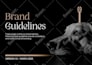 design modern brand corporate identity and brand guidelines