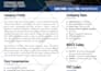 write and design catchy government capability statement