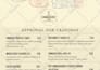 design modern menu restaurant menu digital food menu