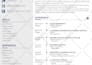 do professional resume writing and CV design services
