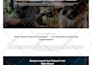 design professional mobile friendly website