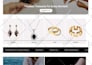 build a professional shopify website development or shopify store design