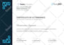 design a professional certificate, diploma or award design