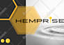 design professional powerpoint presentation keynote  google slides