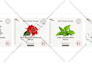 do professional  gin, wine, vodka, bottle label design