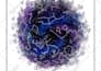 create personalised star map for you