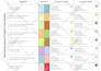 design a cohesive color palette and mood board