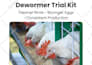 design ebook, lead magnet, workbook, PDF documents