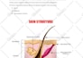 write best book and ebook on health, fitness, and medical topics