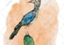 draw animals in realistic style using watercolor