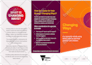 design microsoft publisher flyer, brochure or any template