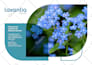 design a flyer for your business