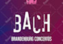 design a sophisticated poster for your classical concert