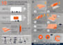 design a professional premium infographic