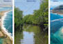 create an elegant and minimum brochure, catalog, magazine, or posters you need
