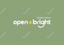 design logo with brand identity and style guide