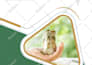 do the professional  company profile, brochure, annual report