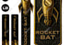 design a professional cricket logo