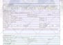 create professional fillable PDF form and PDF fillable form