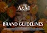 do brand design with brand guidelines and branding book
