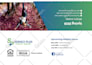 design ebook, lead magnet and pdf design