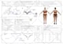 create fashion flat sketches and tech packs
