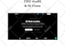 audit your shopify, online store, or lead gen site for sales conversions growth