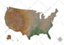 design high quality vector map of any area