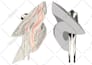 create fashion flat illustration, technical flat sketches
