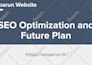 perform website SEO audit and optimization to rank