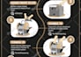 design customize professional infographics