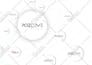 design professional powerpoint presentation or investor pitch deck
