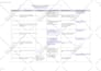 do manual QA testing for website and mobile apps with detailed bug report