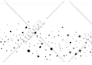 vector tracing or convert to vector in 1 hour