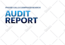 audit and optimize your google ads adwords PPC campaigns