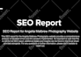 fix wordpress SEO issues and optimize websites for the search engine