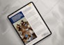 design a modern product catalogue, brochure, magazine