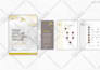 design flyer, brochure, marketing collateral