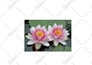perfect book formatting kindle ebook createspace formatting