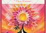 do book formatting, paperback formatting, kindle ebook formatting for amazon kdp
