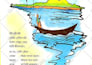 teach bengali like a pro