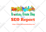 provide complete monthly SEO service with link building