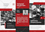 design, format edit your word document, reports, proposals, workbook in canva