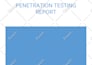 perform web and API penetration testing with  vapt report