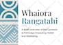 do professional ebook formatting and layout in canva or indesign