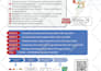 design educational, course, webinar flyers in 1 day