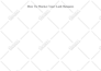 provide ebook editing, blog and ebook writing services