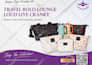 do professional flyer design