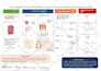 design publication ready scientific illustrations
